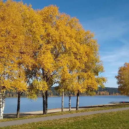 Tulip's Lake