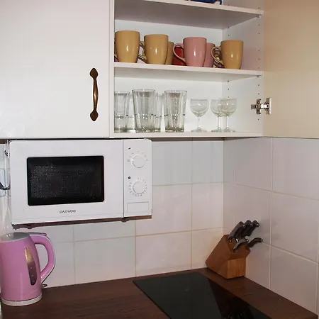 Tulip's Lake Apartment Horni Plana