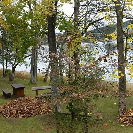 Tulip's Lake * Horni Plana